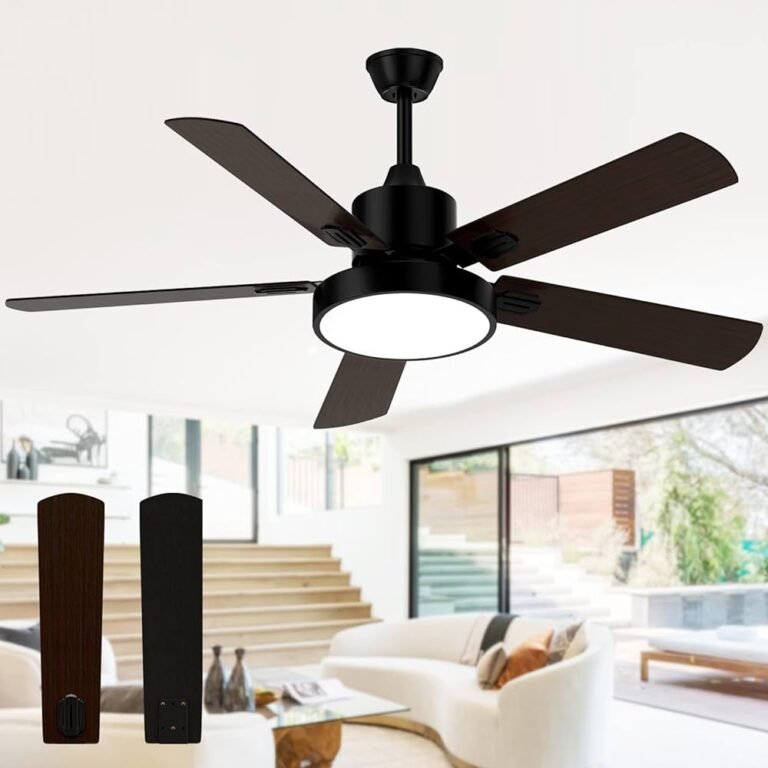 Modern Black Ceiling Fans with Remote Control