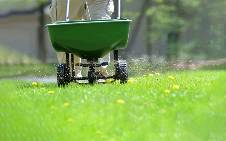 How Often Should You Fertilize Your Lawn? An In-Depth Guide